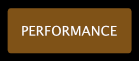 Performance button